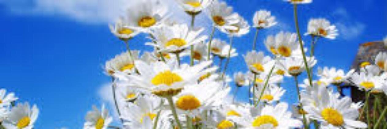 glucosata's profile banner image