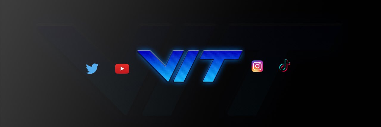 ThatGuyVit banner