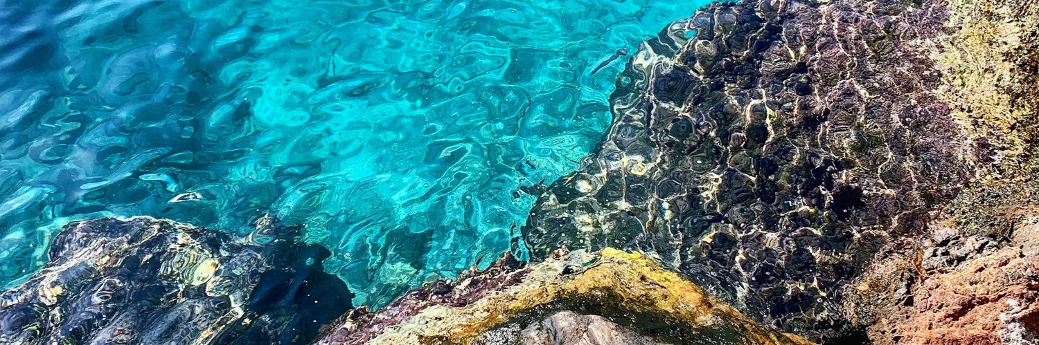 Jade Robertson banner