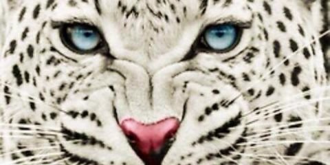 AliMoreno10's profile banner image