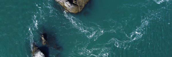 fundyforce Profile Banner