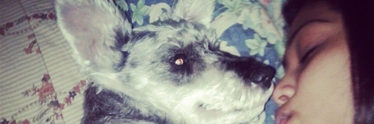 JKissxo's profile banner image