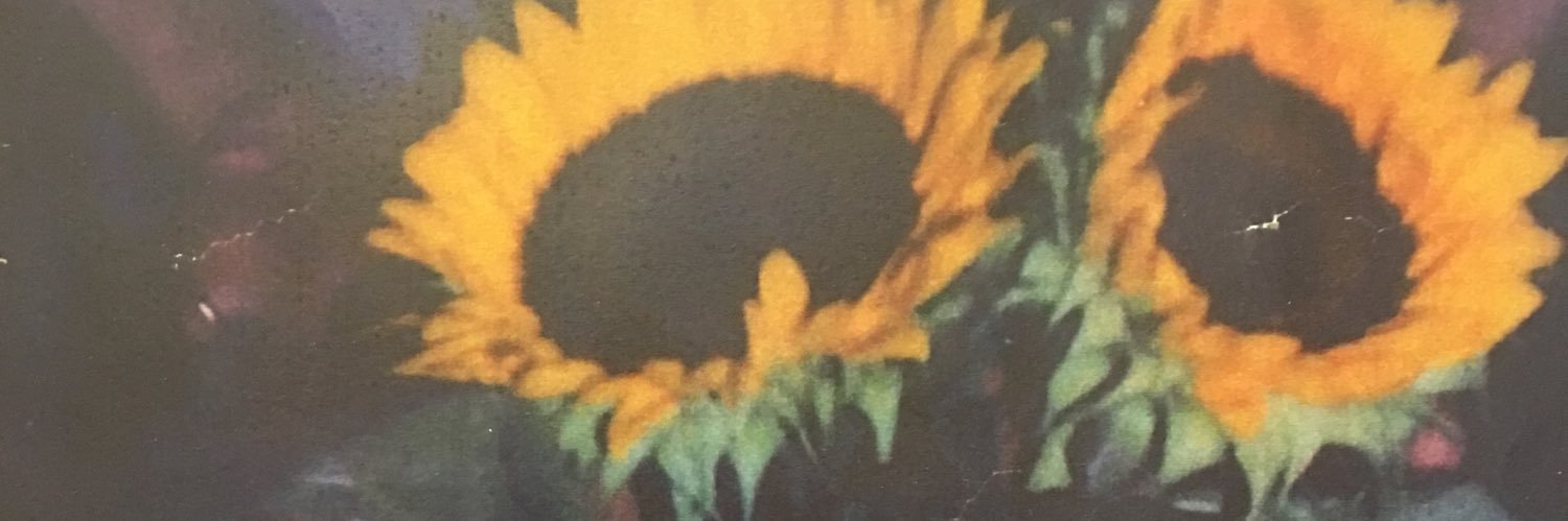 sinlaedelmedio's profile banner image