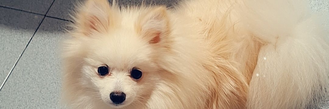 Esthercittah's profile banner image