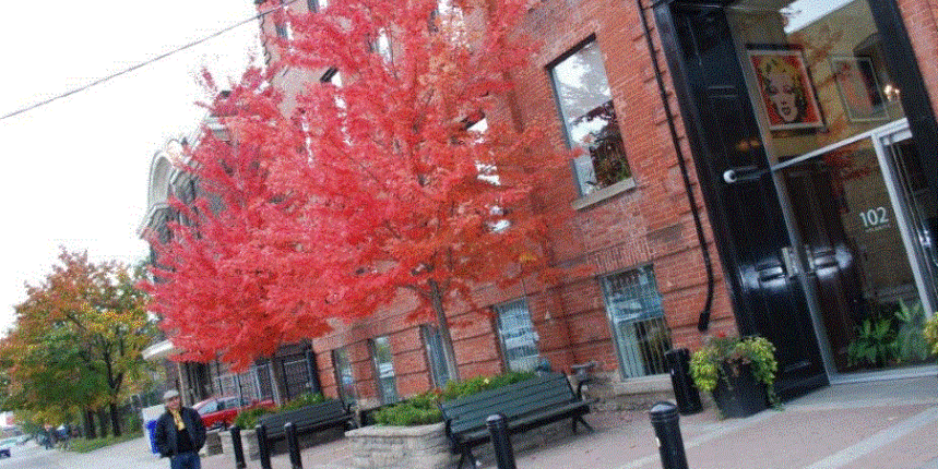 Cineplex Media banner