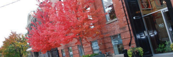 CineplexMedia Profile Banner