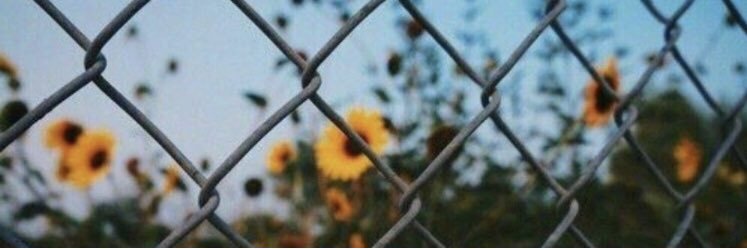 AbrarO7_'s profile banner image