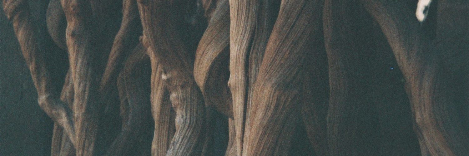 samobribri's profile banner image