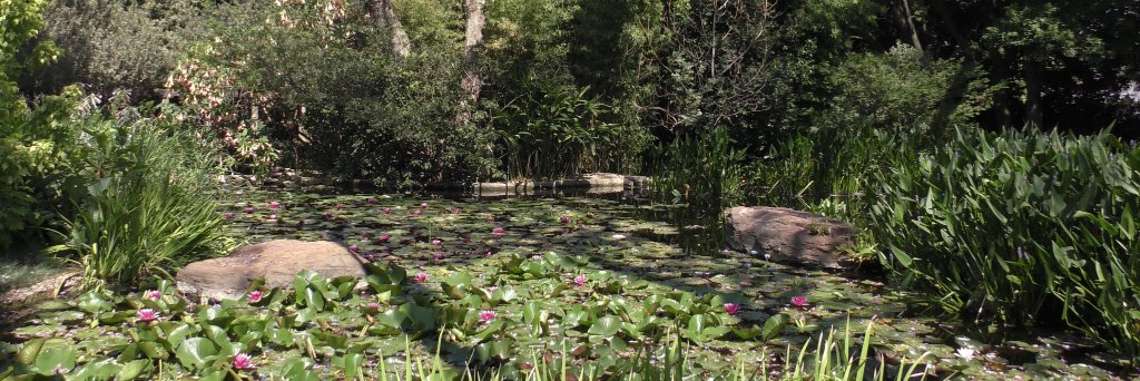 Jackie Reardon banner