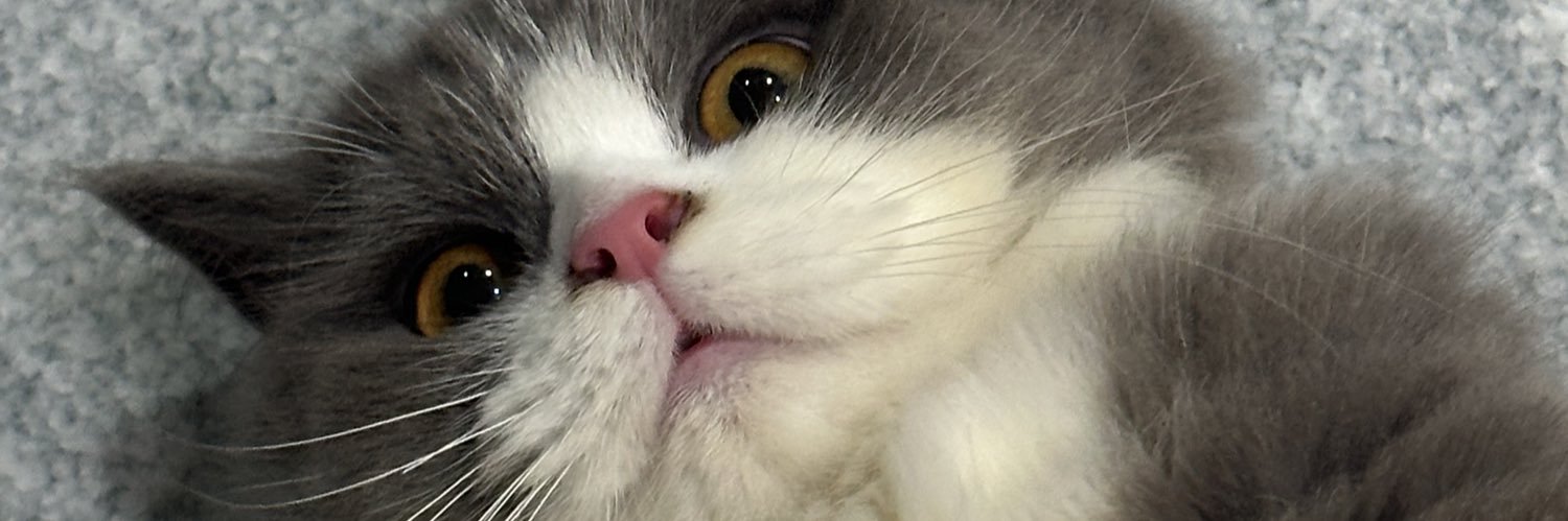 AtijeraDerrick's profile banner image