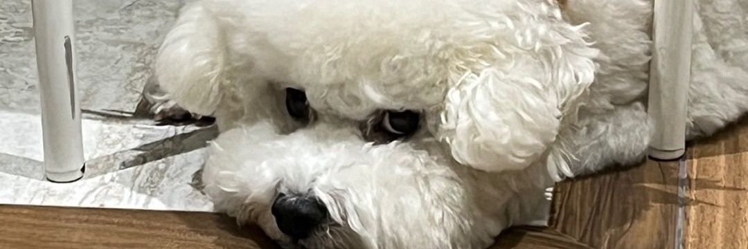 teokkmomma's profile banner image