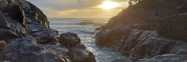 acgonthier Profile Banner