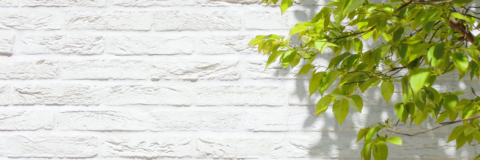 raioneck's profile banner image