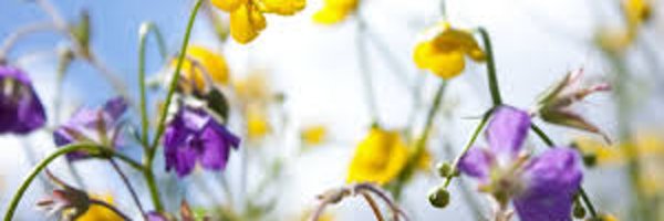 mrsrjgiven Profile Banner