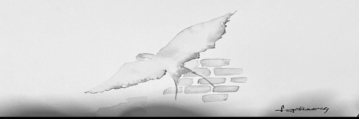F_AYDMR35's profile banner image