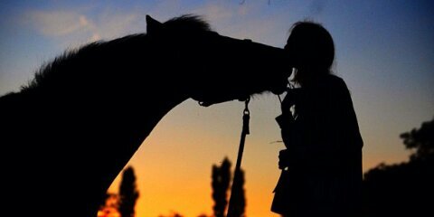 LorenaAlfaro5's profile banner image