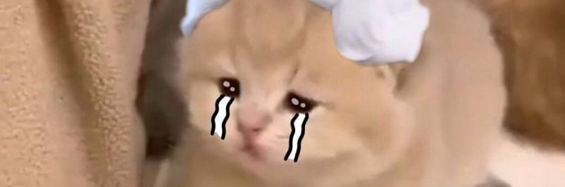 stroberilovee's profile banner image