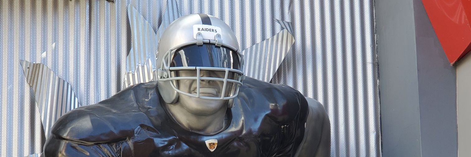 raidernation901's profile banner image