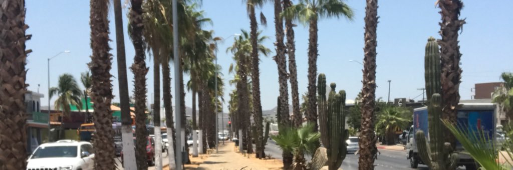 ARANAOSCAR's profile banner image