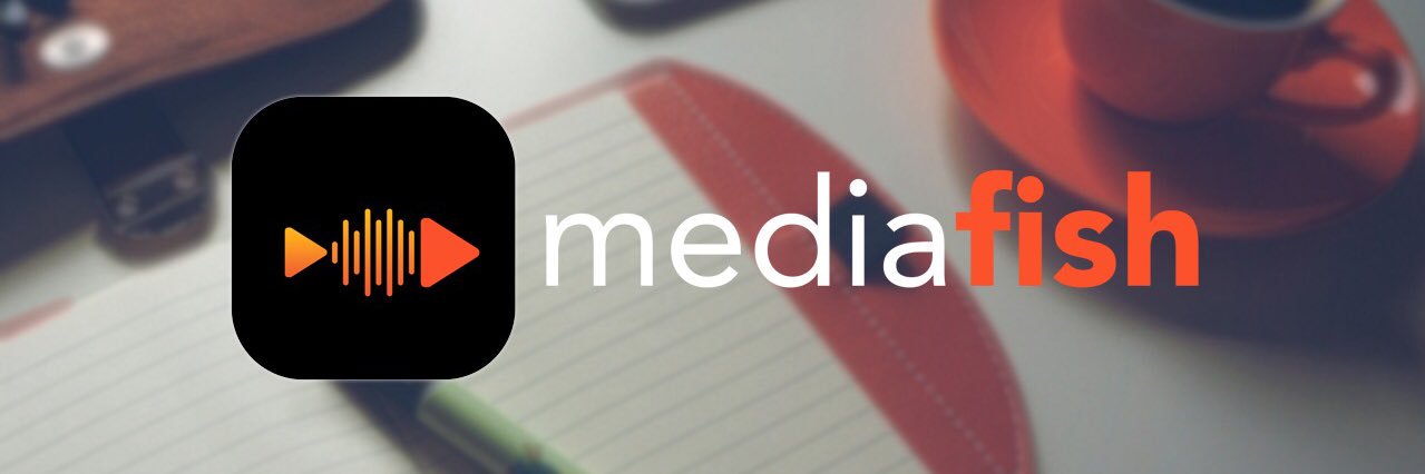 MediaFish Co. banner