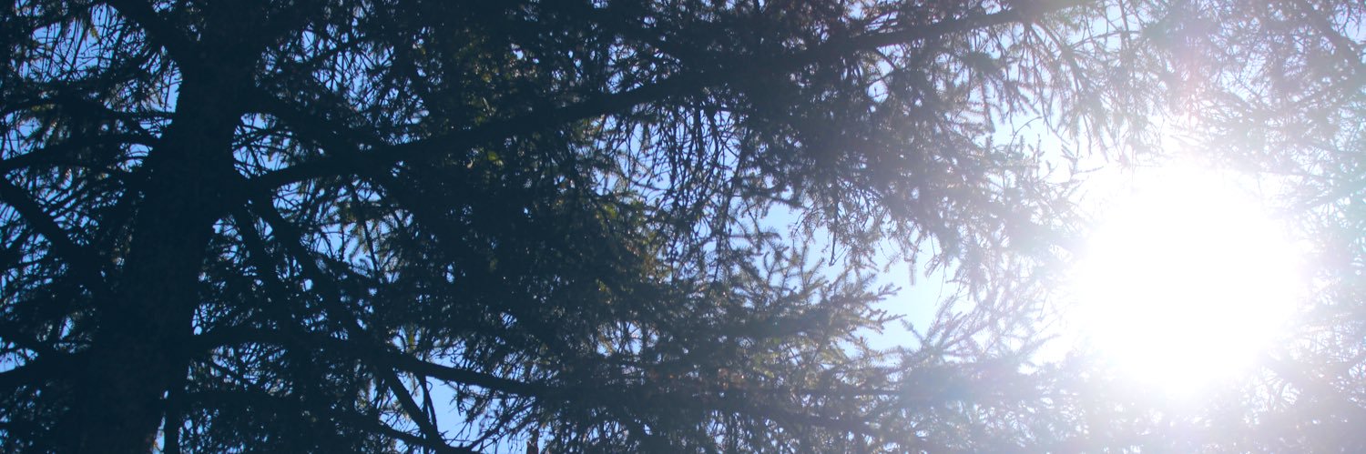 _Yekta's profile banner image