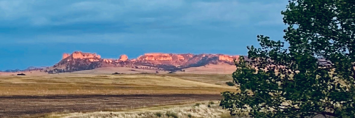 Brad Williams banner