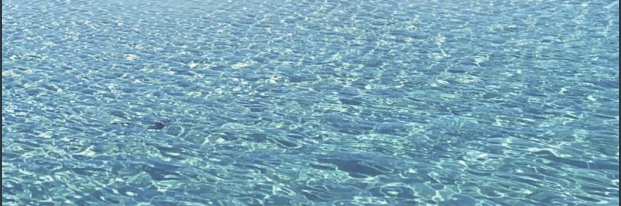 نُوريه الملحم banner