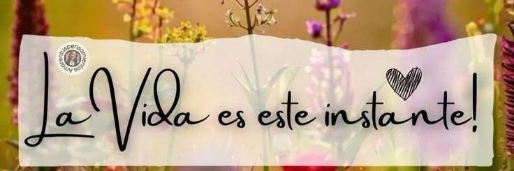 taty040's profile banner image