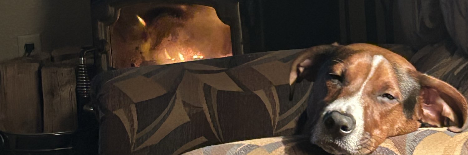 DGabriel_52's profile banner image