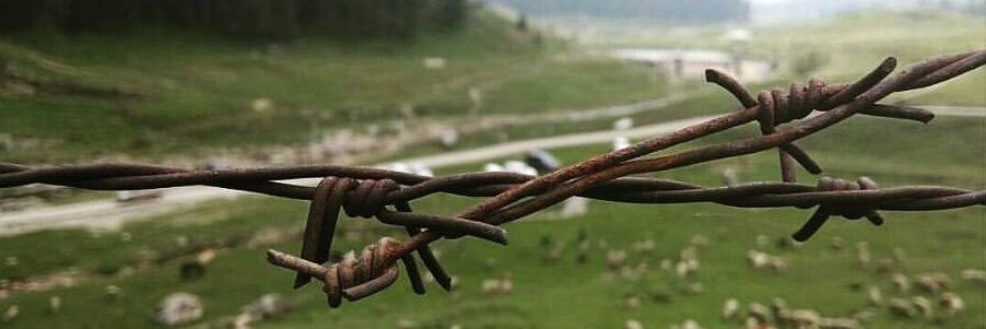arishsd_'s profile banner image