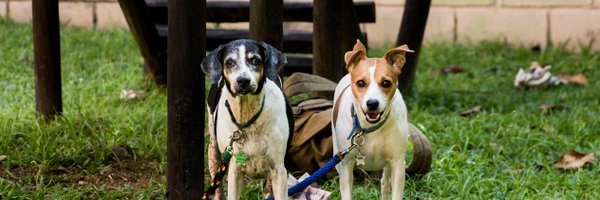 ClaudiaArango Profile Banner