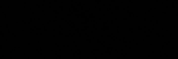 sc_joni's profile banner image