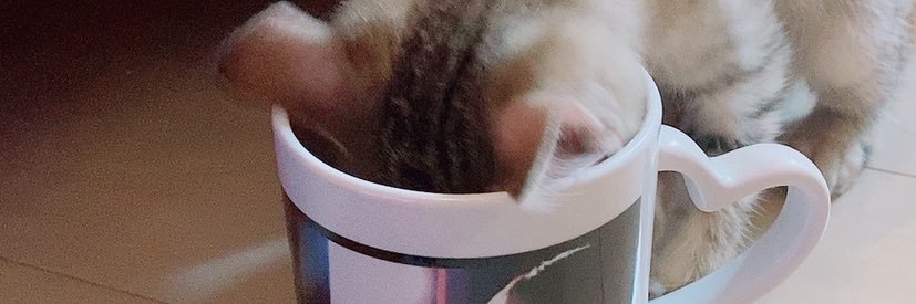 runana107's profile banner image