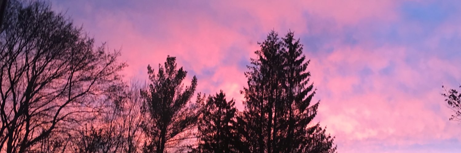 kbusse25's profile banner image