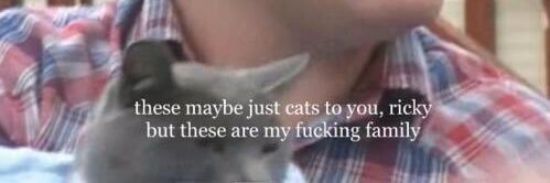 assbandit666's profile banner image