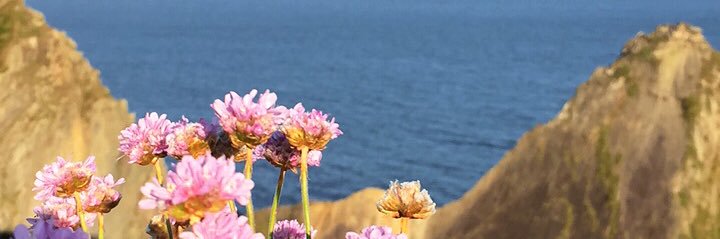 Gsuuus_'s profile banner image