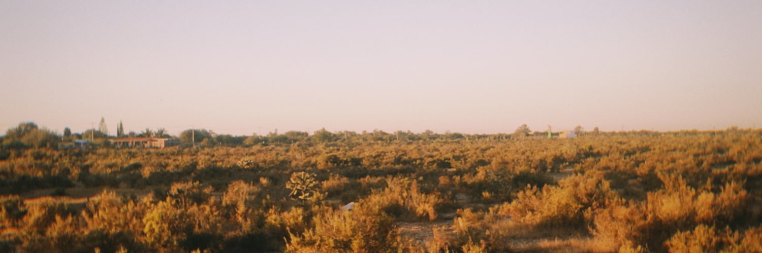 gishelvioleta's profile banner image