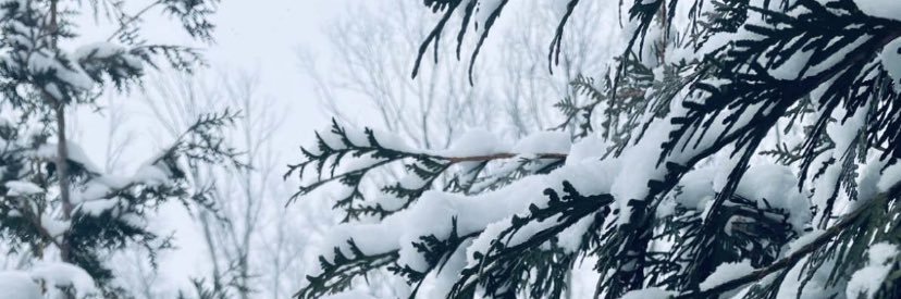 rahafa2020's profile banner image