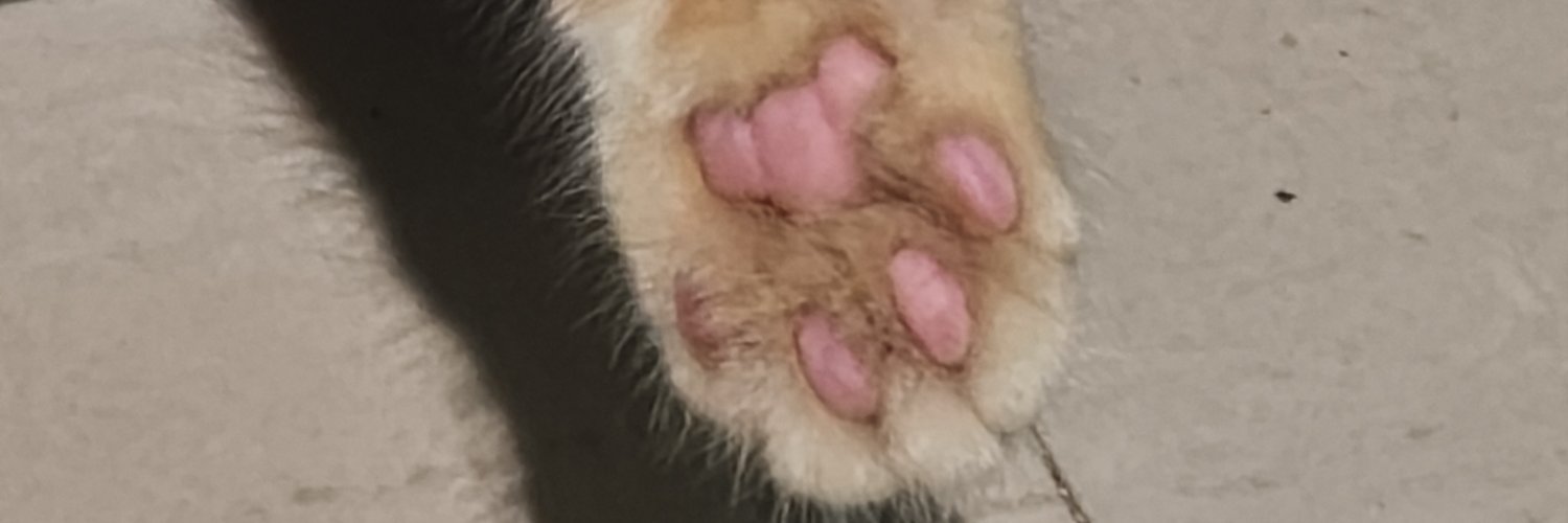 yopirif's profile banner image