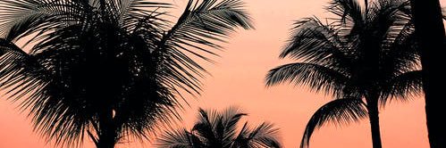 RLagrama's profile banner image