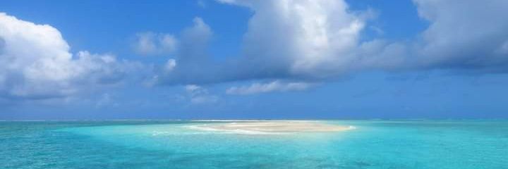cjsprop's profile banner image