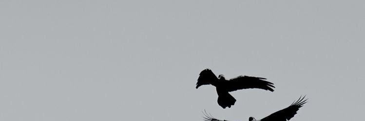 AllRee___'s profile banner image