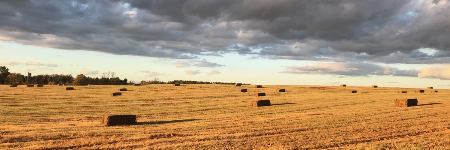 AustenRAnderson's profile banner image