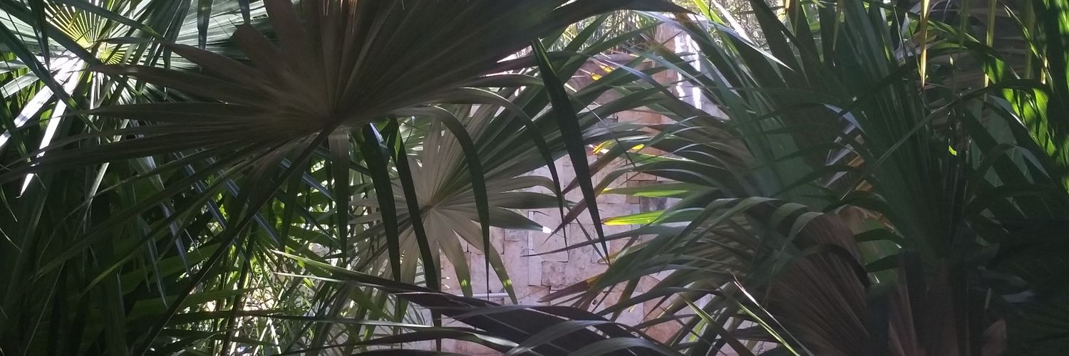 ValfreC's profile banner image