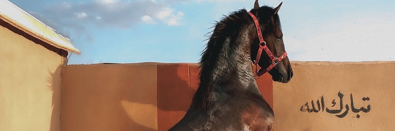 tcheco_17's profile banner image