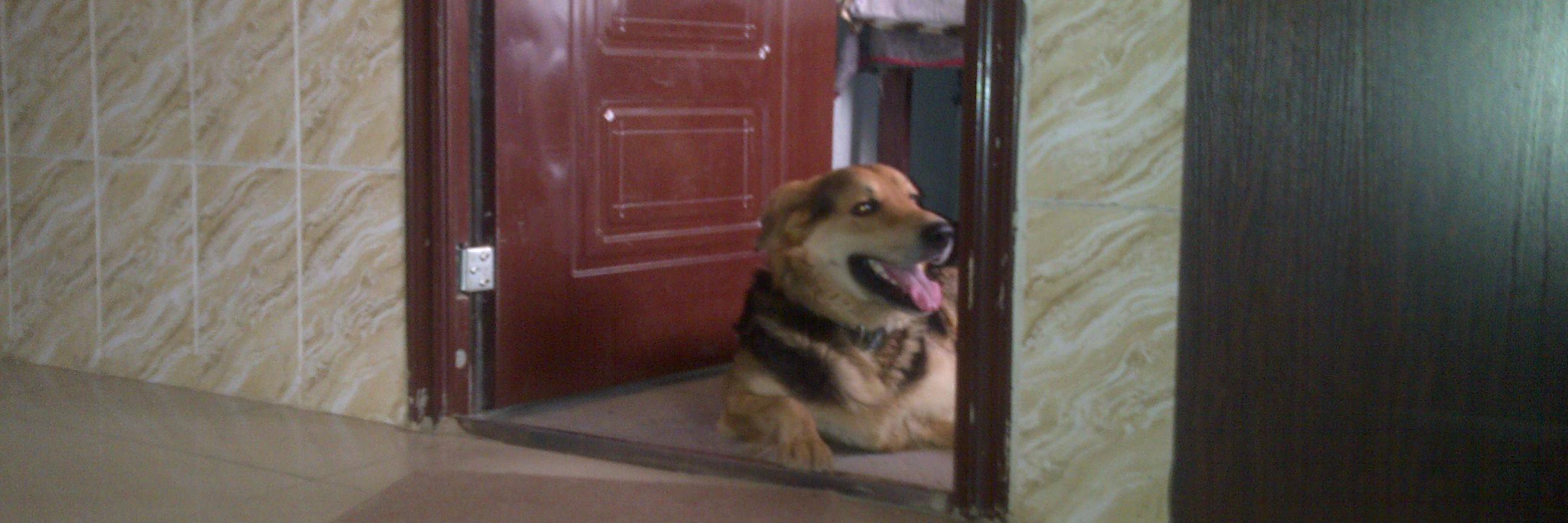 Affidavit Prof. Epum Michael banner