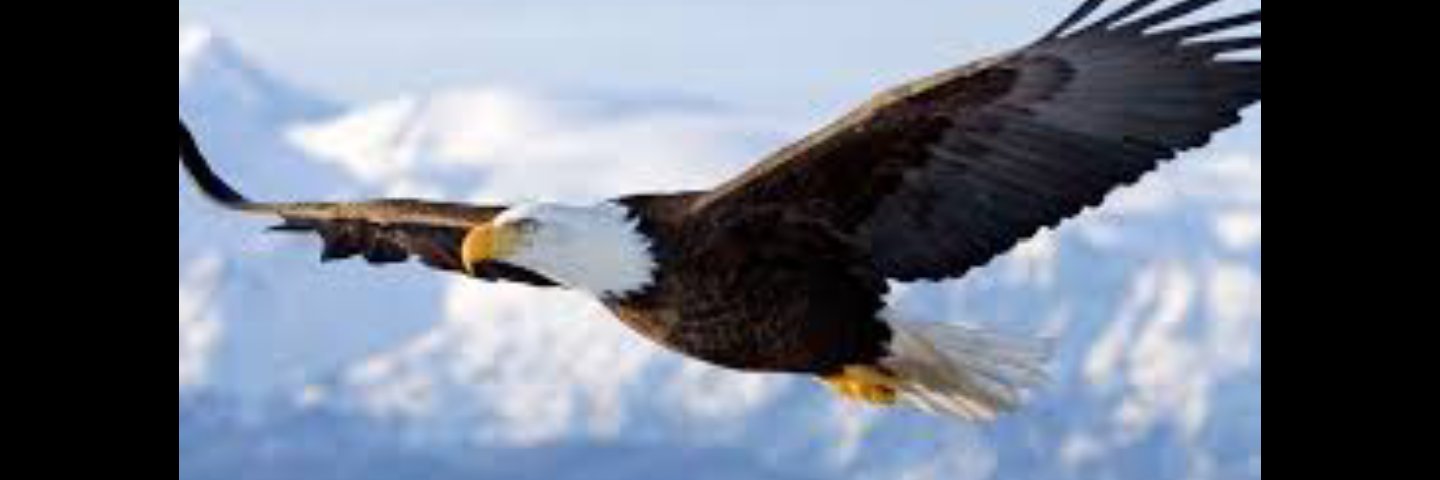 Will Martinez banner