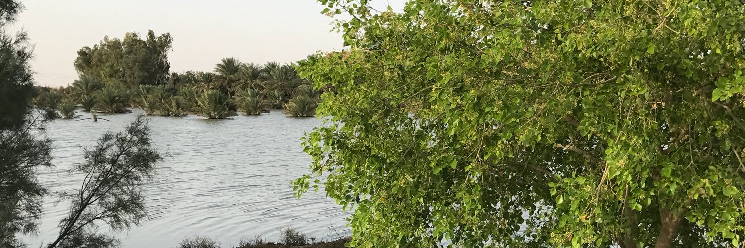 توفيق السبيت banner