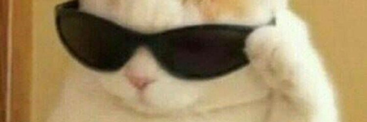Fracazado's profile banner image