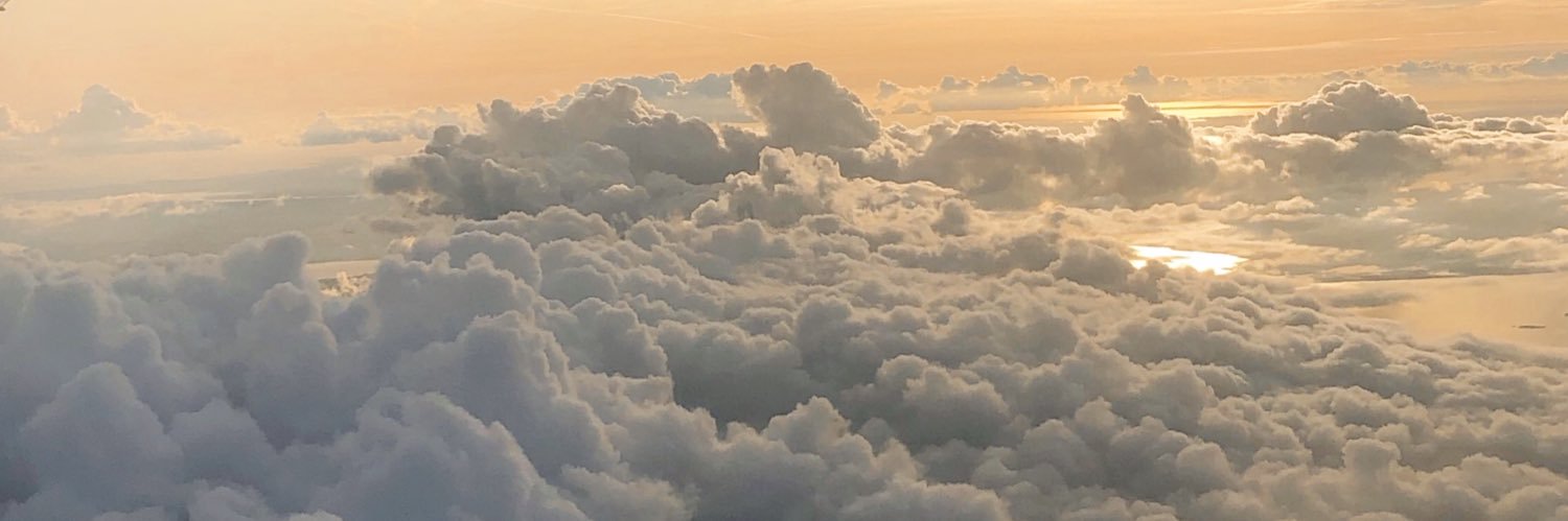 julialeandersso's profile banner image